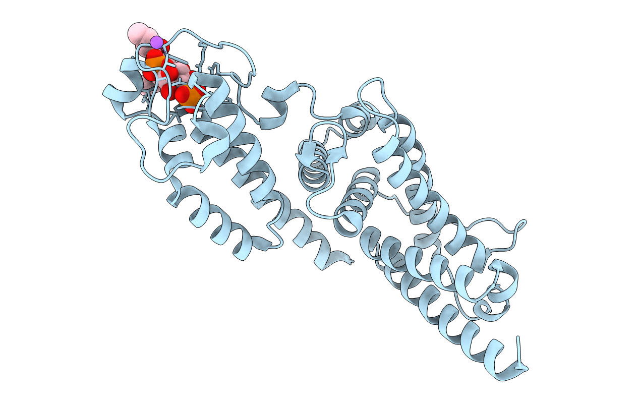 4MXP image