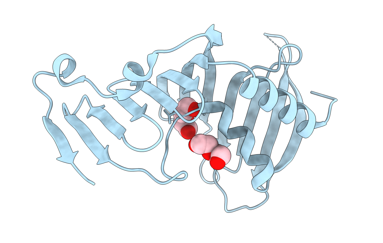 4MXT image