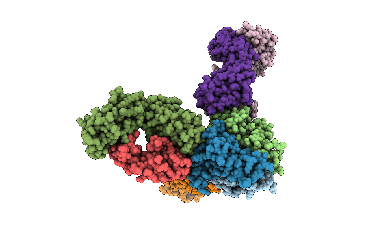 4MXV image