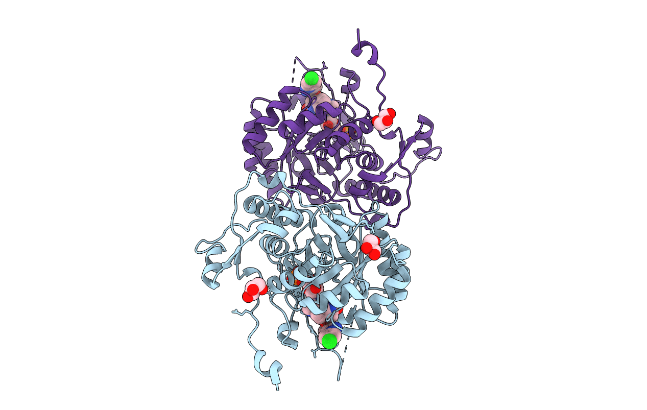 4MYA image