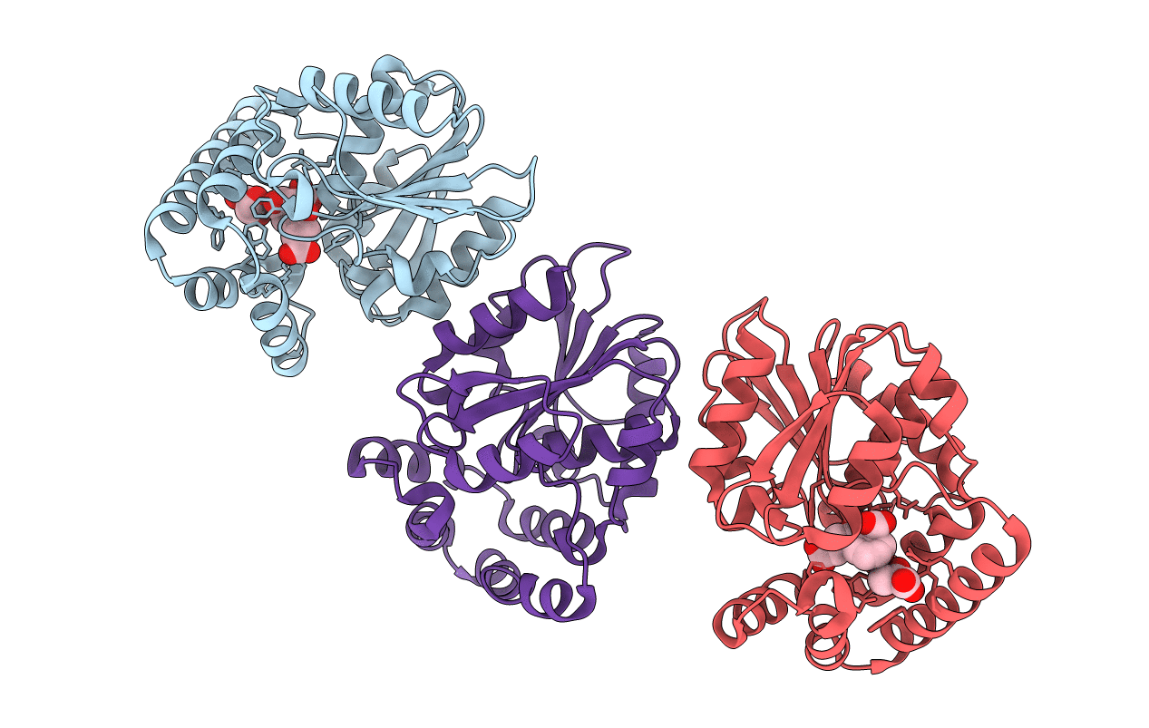 4MYS image