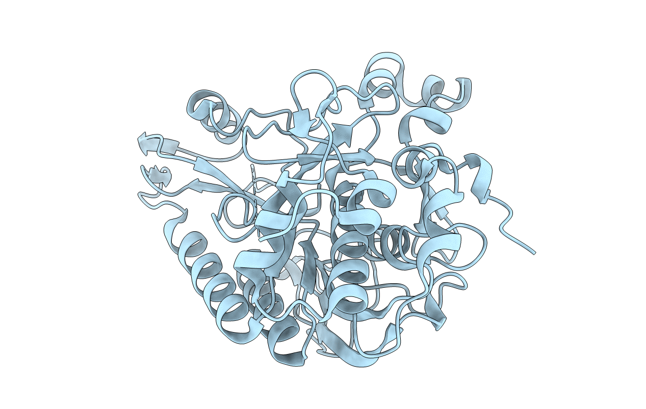 4MZD image