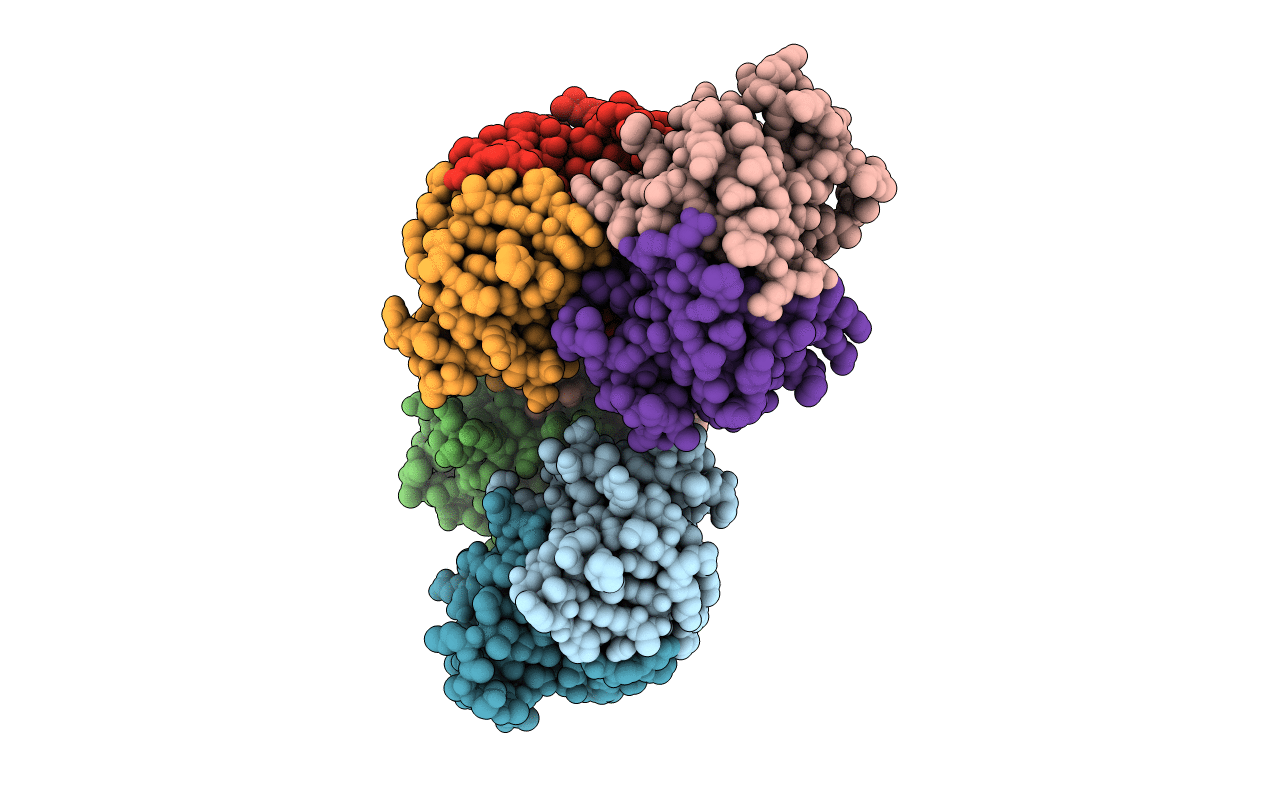 4MZP image