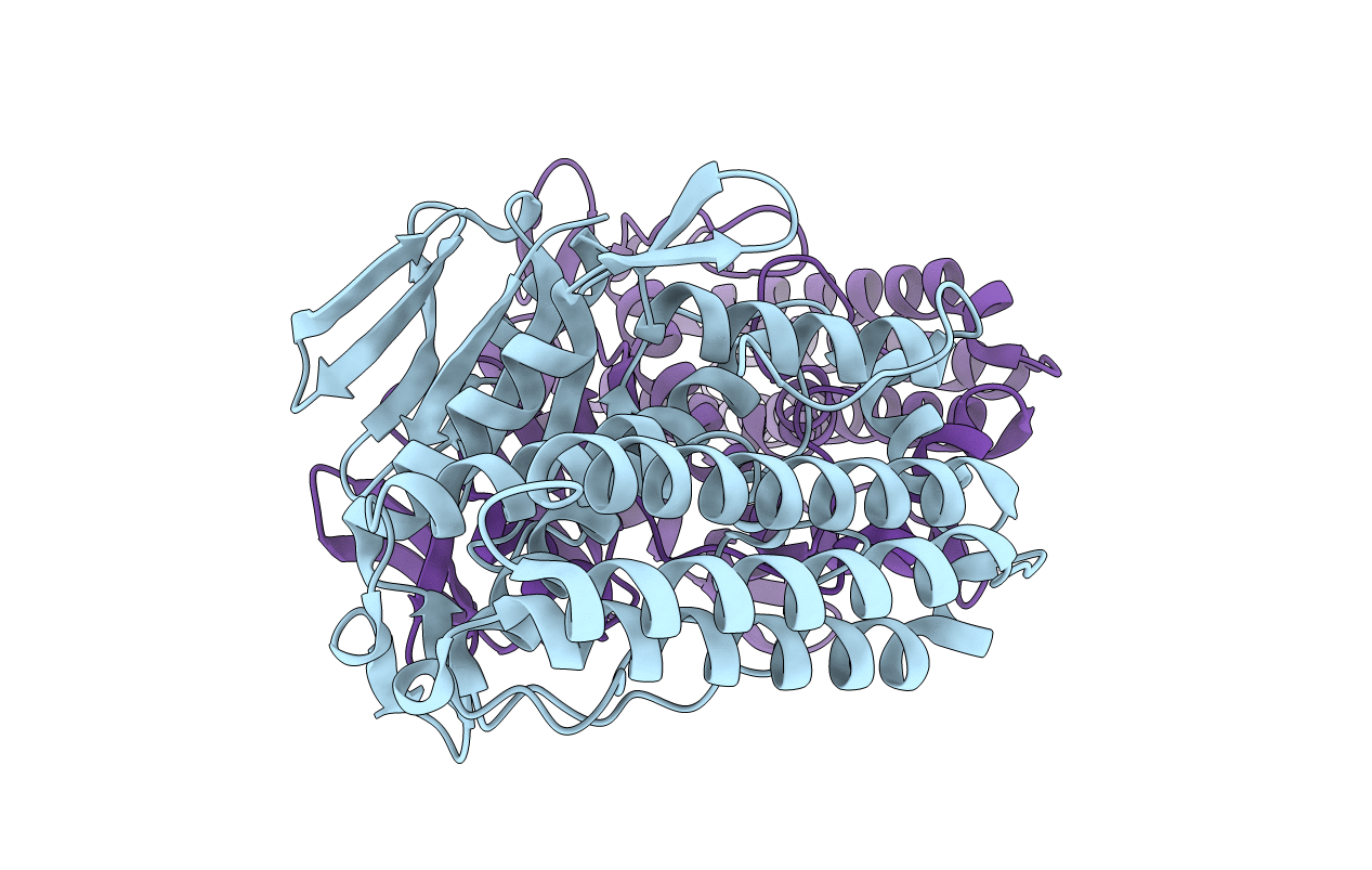 4N06 image