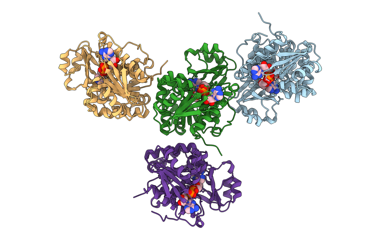 4N09 image