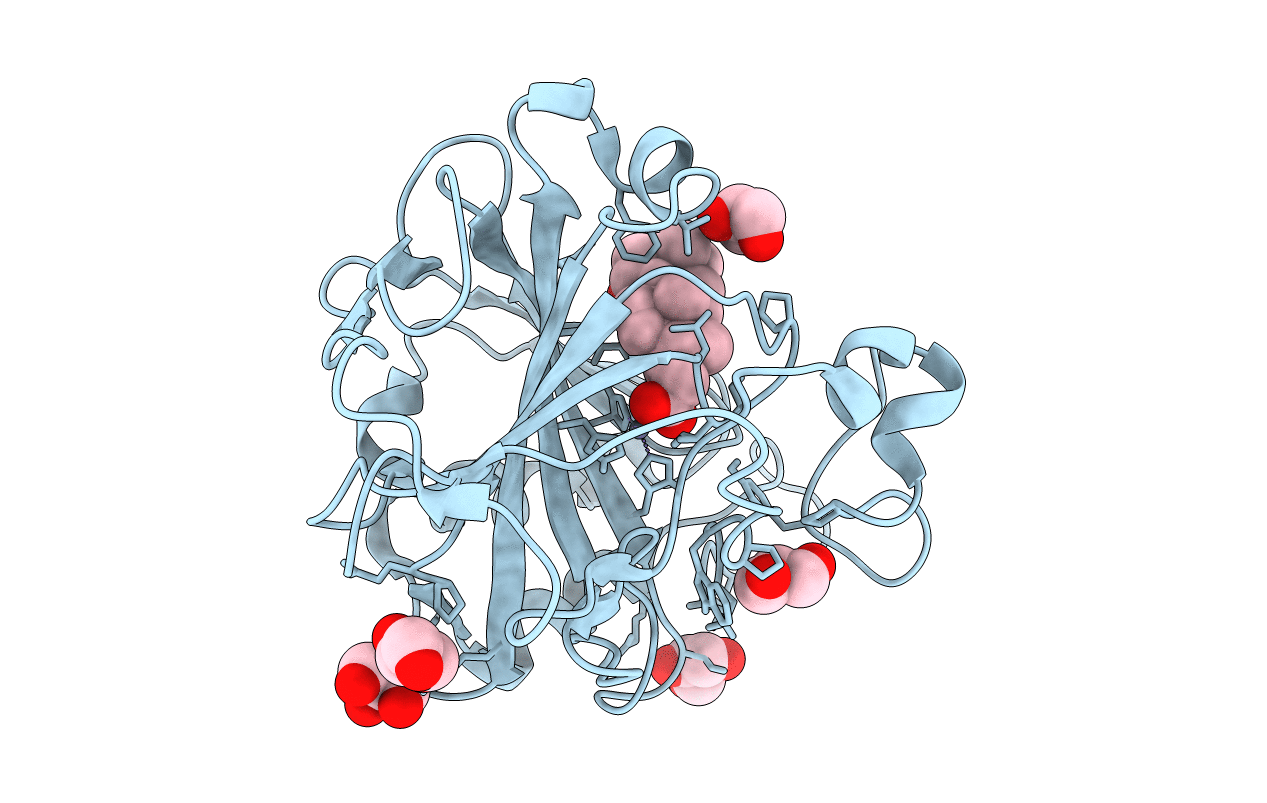 4N16 image