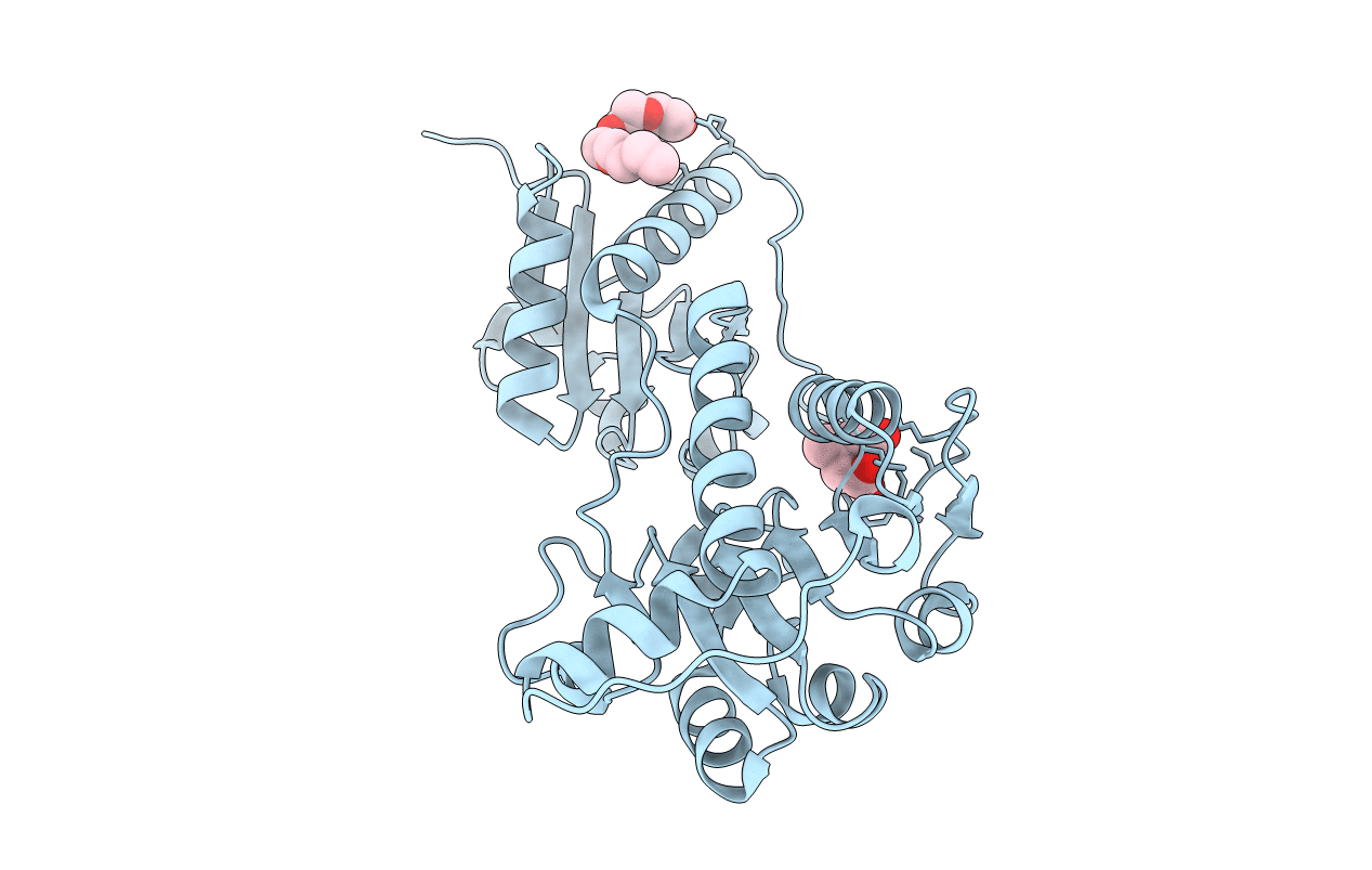 4N18 image
