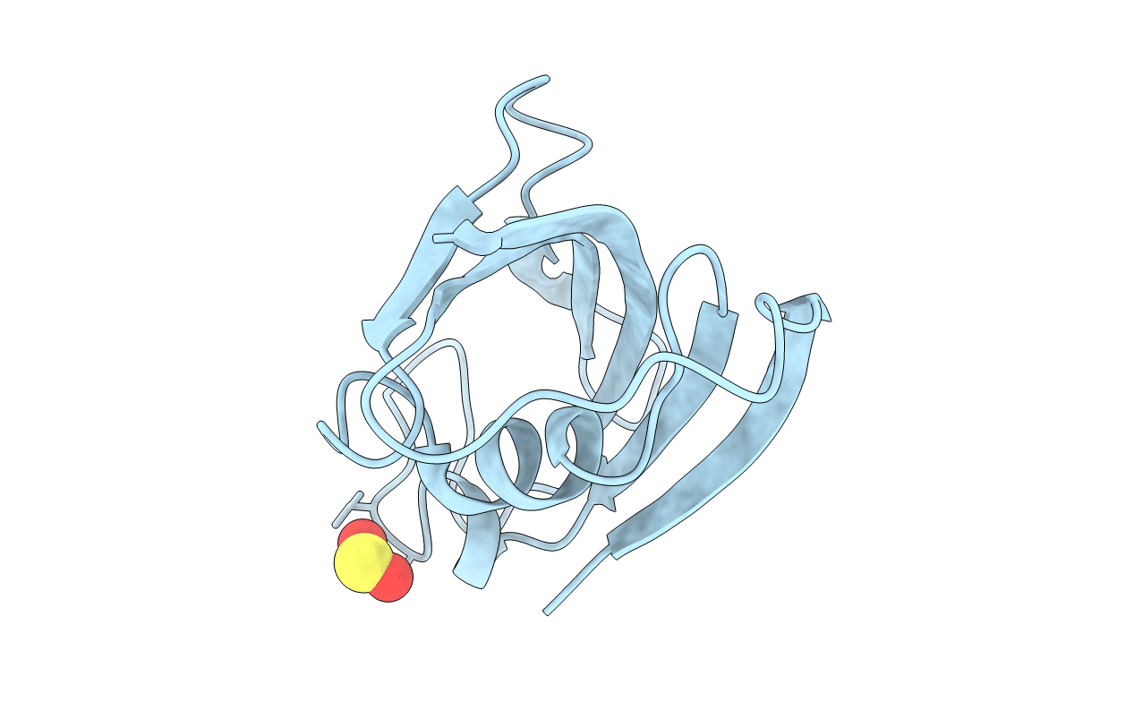4N19 image