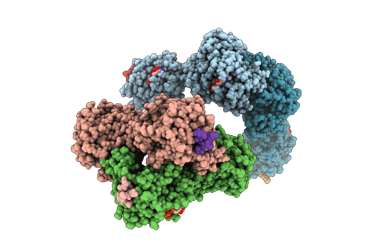 4N1A image