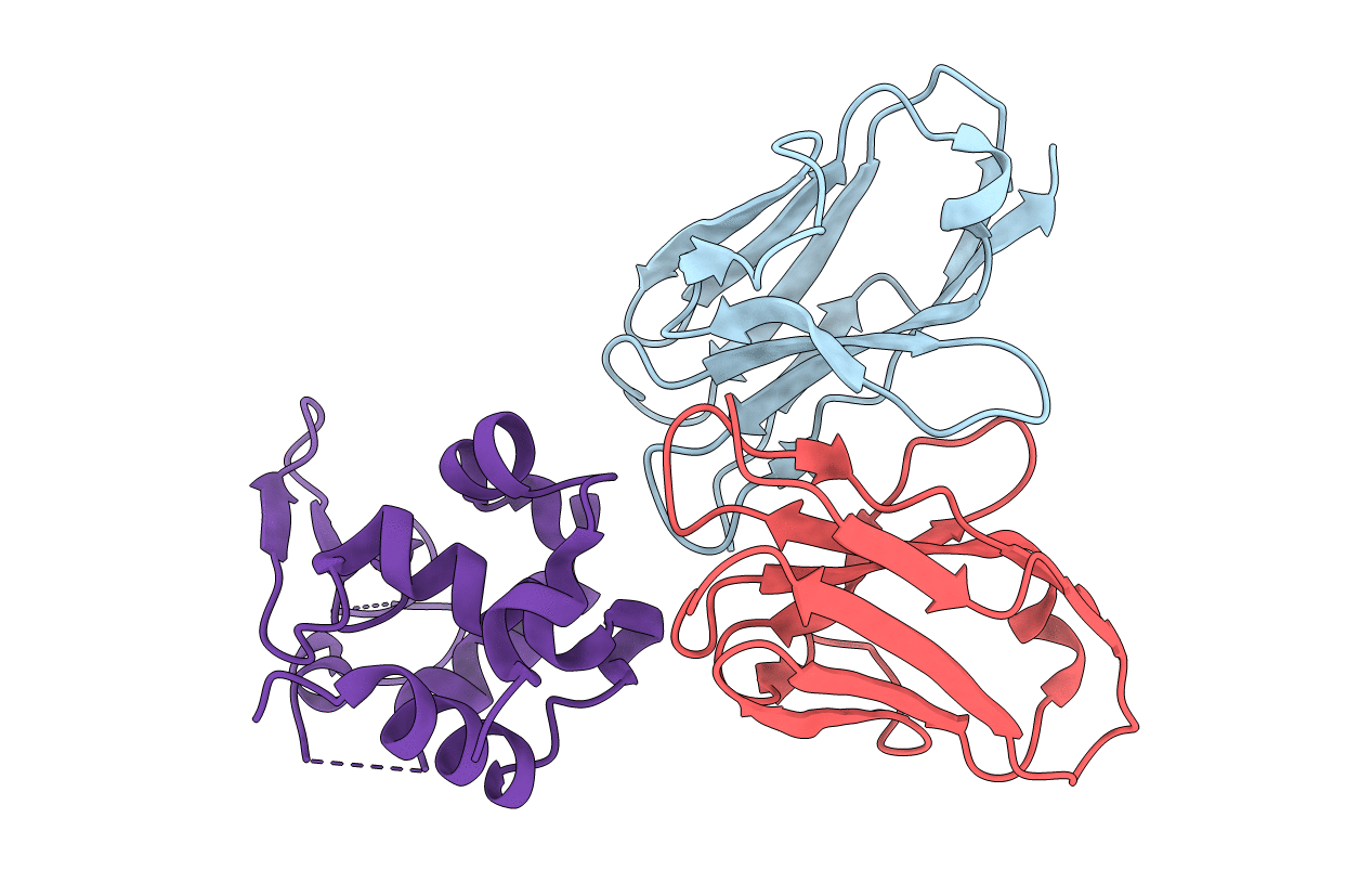4N1C image