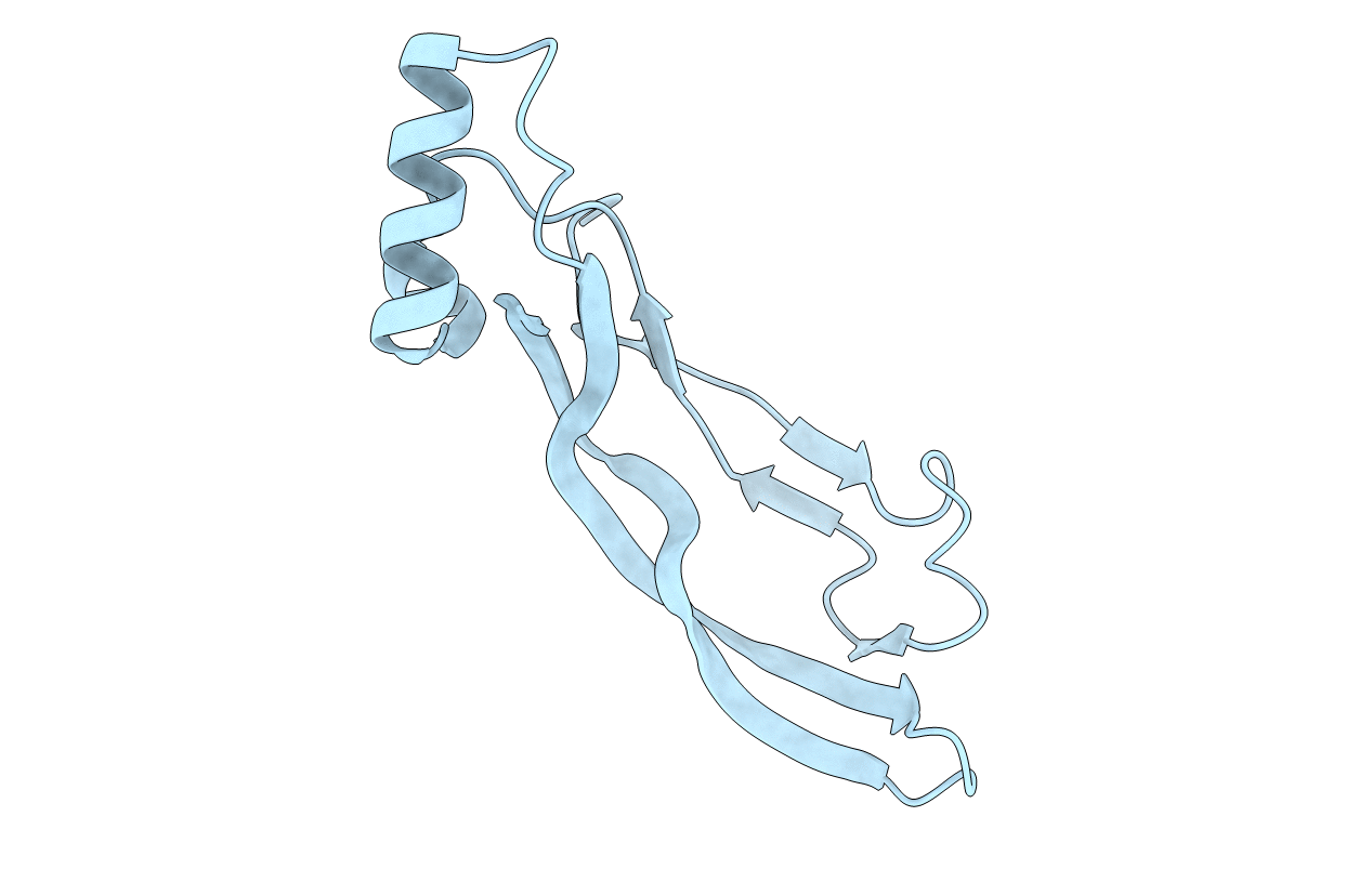 4N1D image