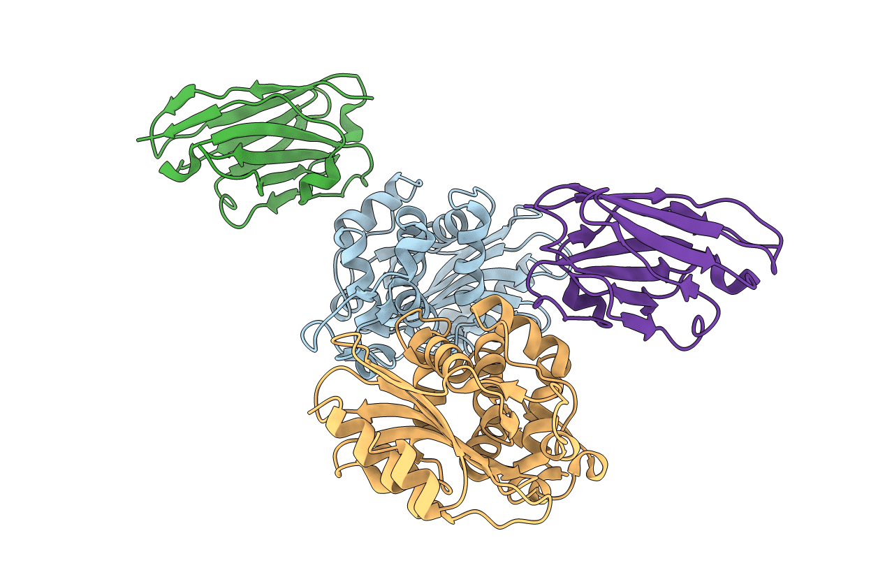 4N1H image