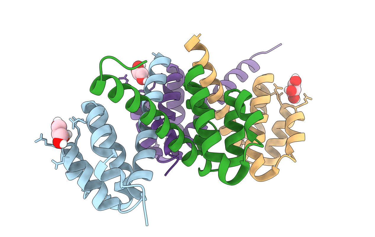 4N1J image