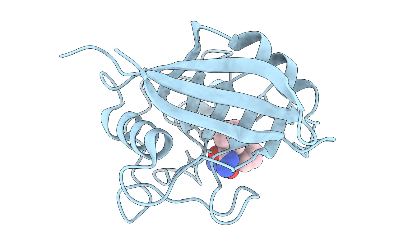4N1S image