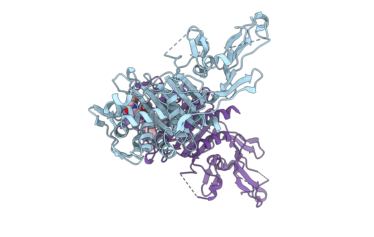 4N1X image