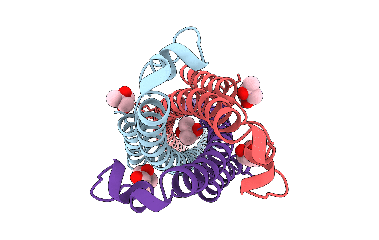 4N23 image