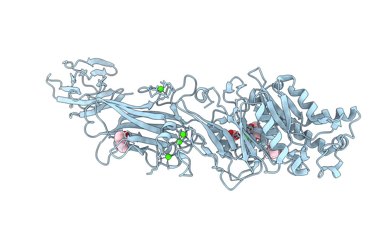 4N26 image
