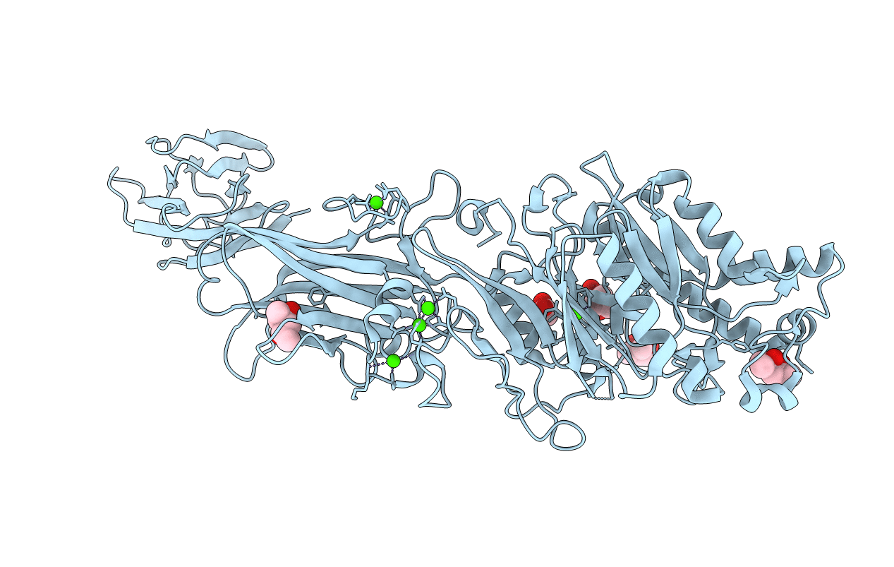 4N28 image