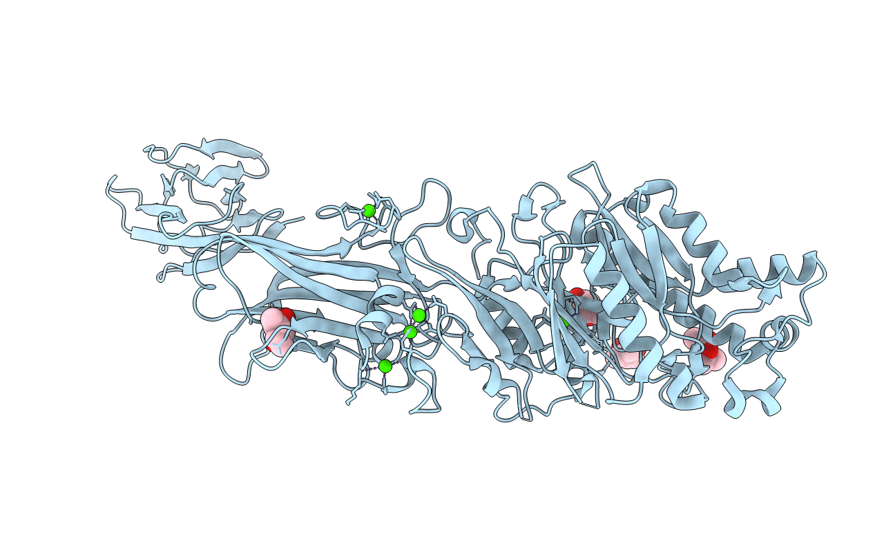 4N2B image