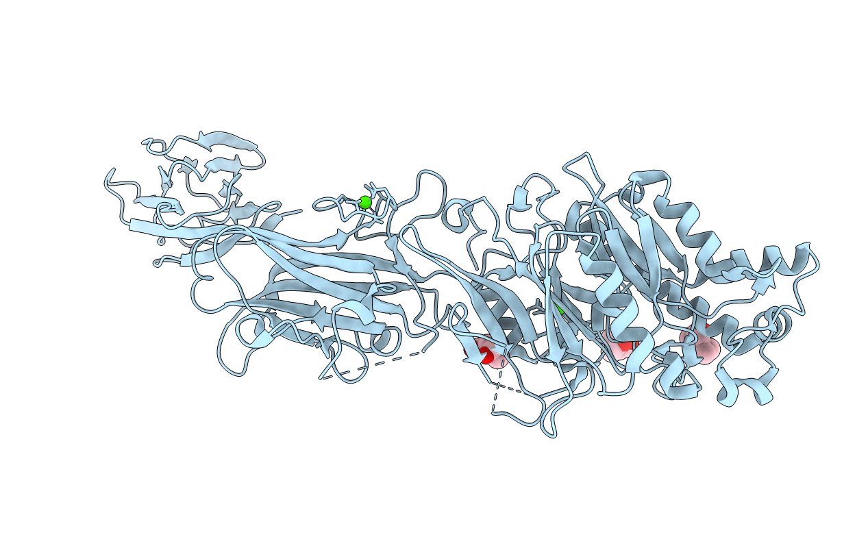 4N2D image