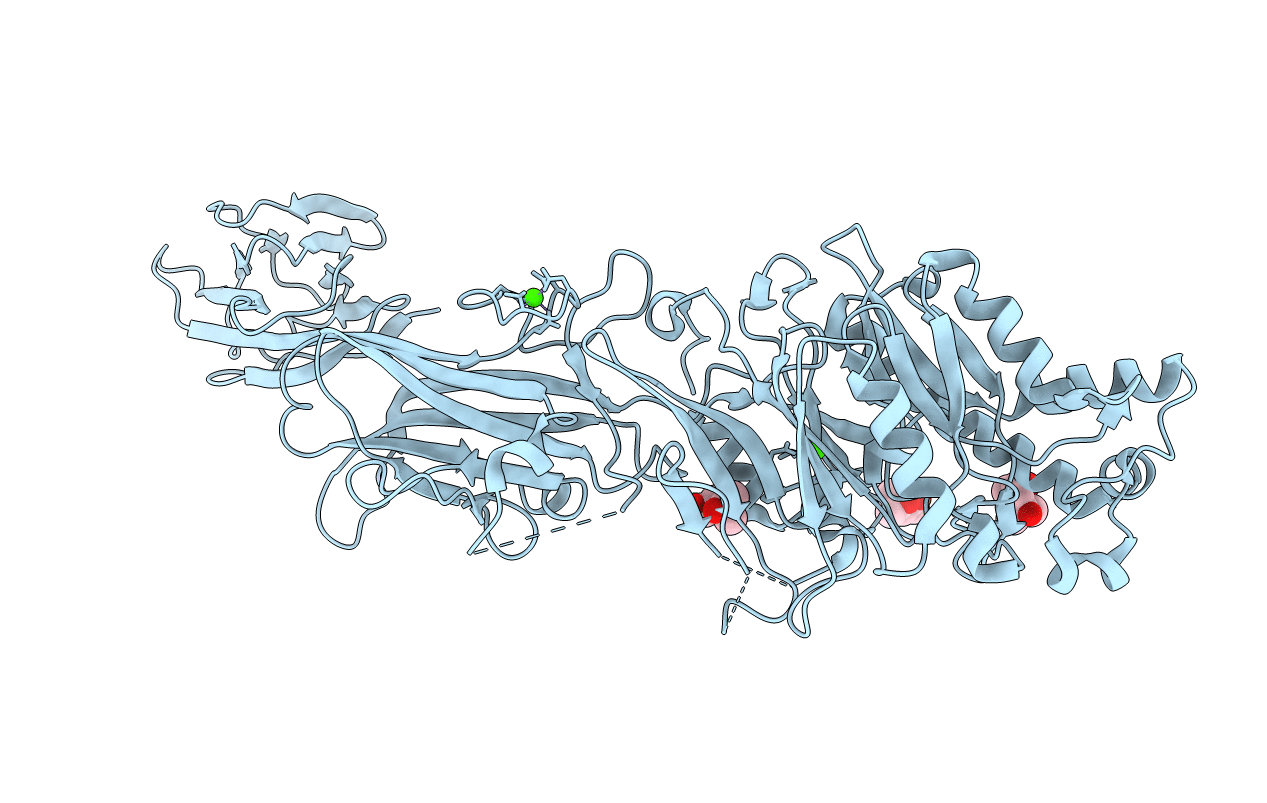 4N2H image