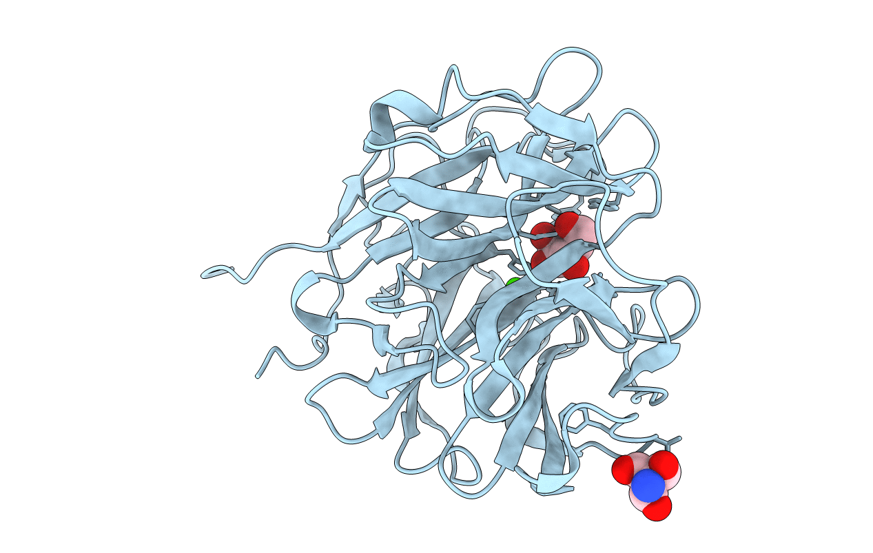4N2R image