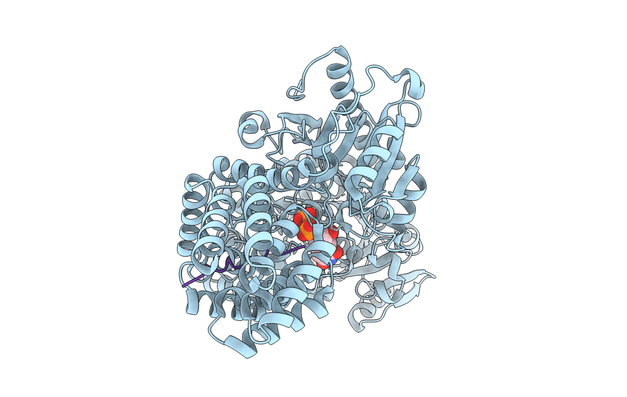 4N3A image