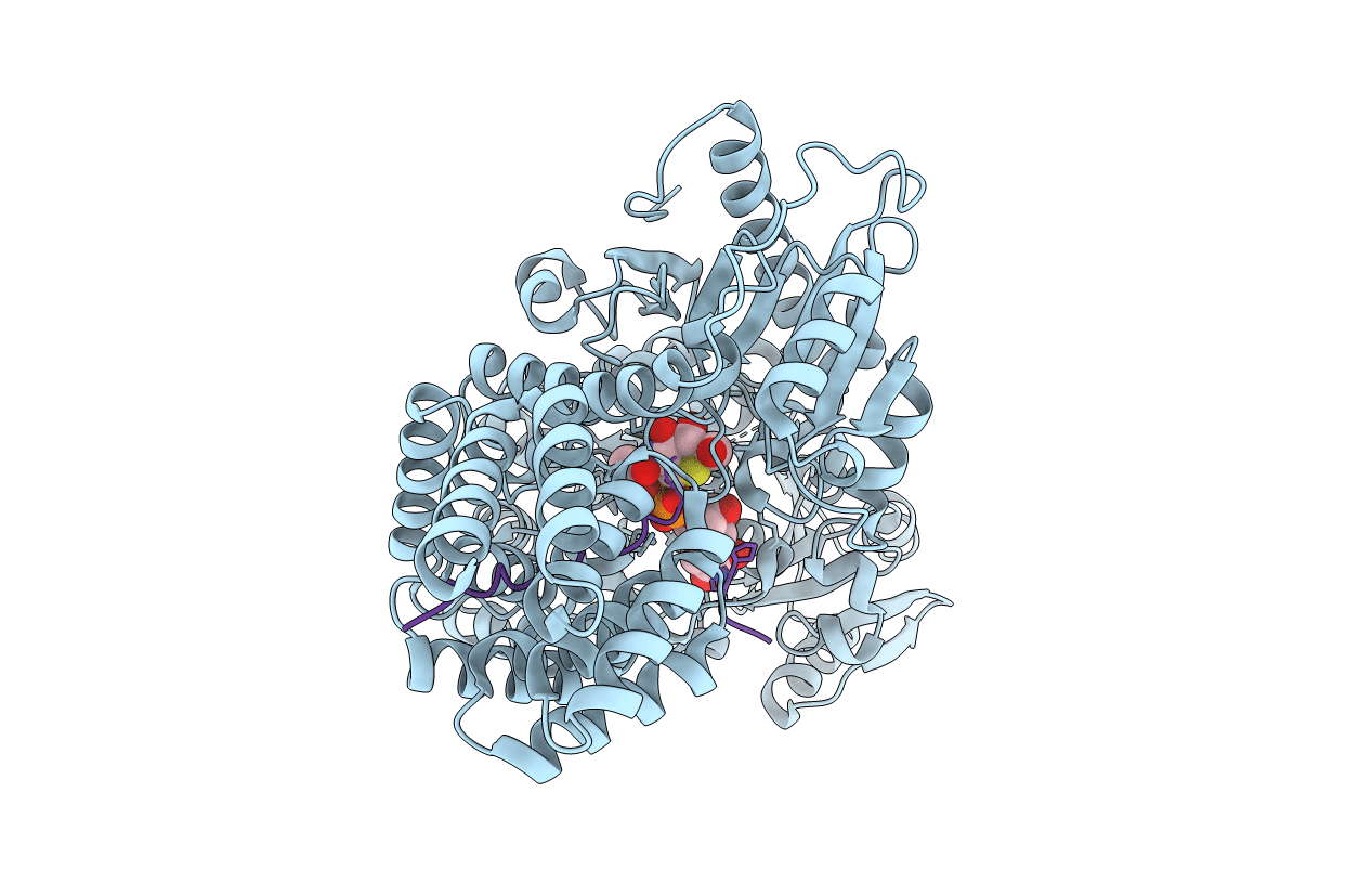 4N3B image