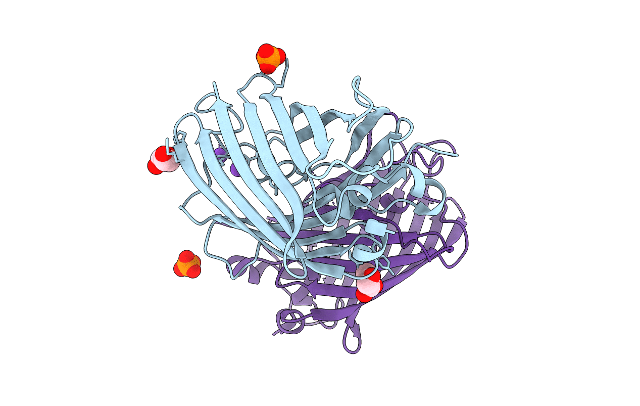 4N3D image