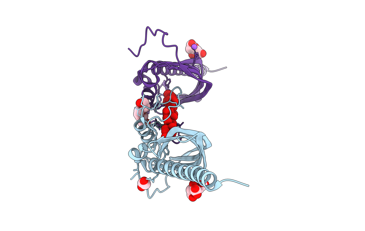 4N3V image