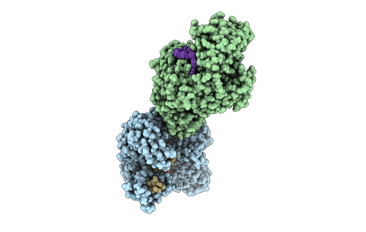 4N41 image