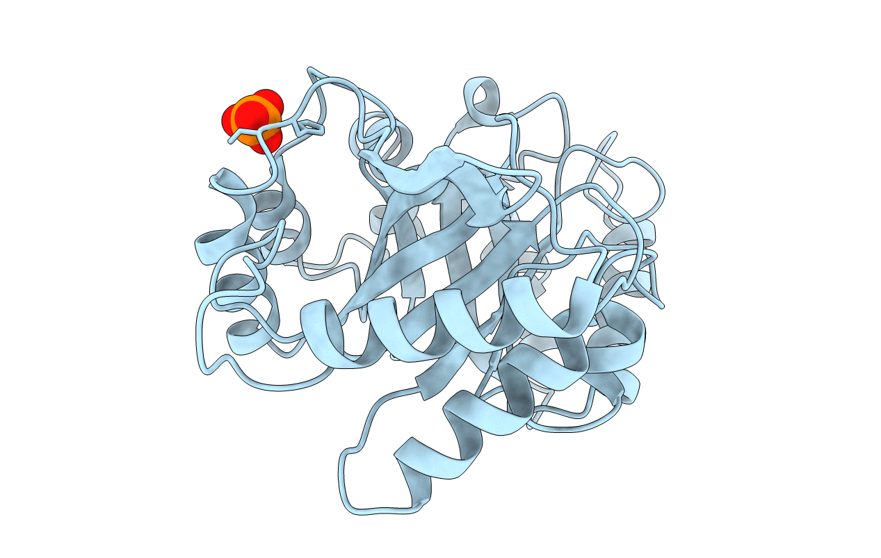 4N42 image