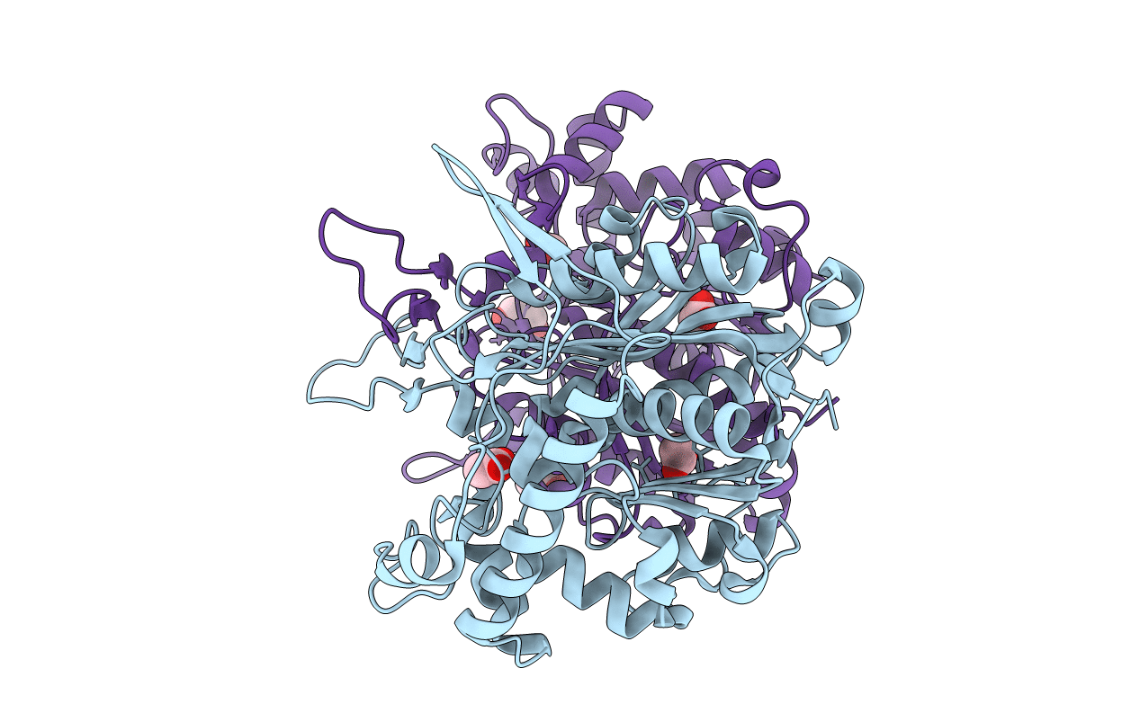 4N44 image