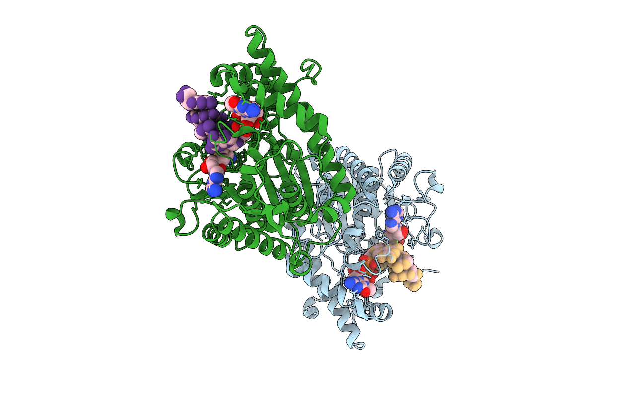 4N48 image
