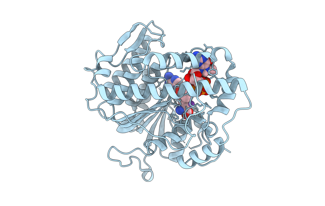 4N49 image