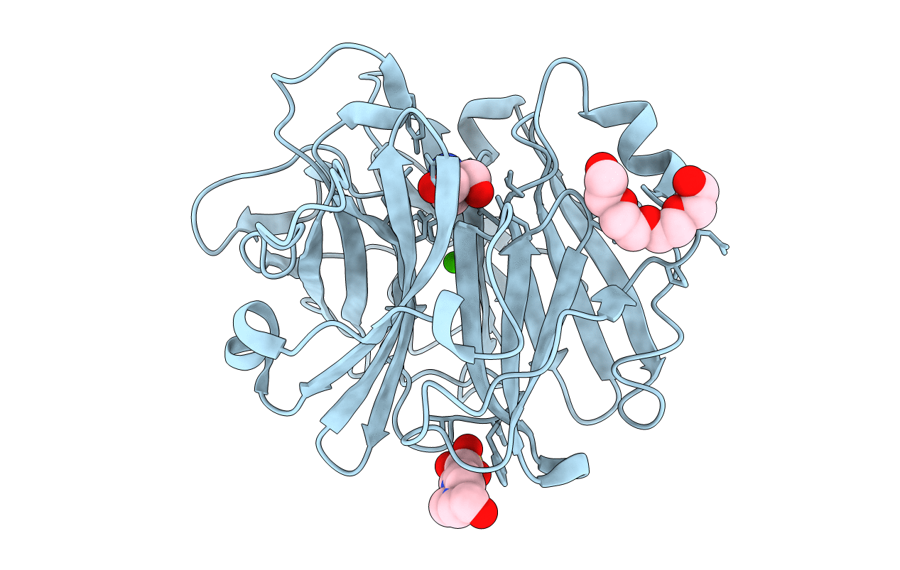 4N4B image