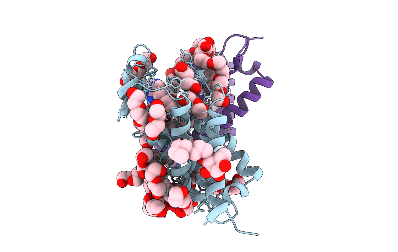 4N4D image