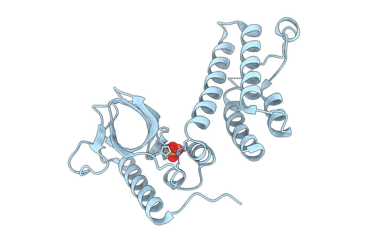 4N4G image