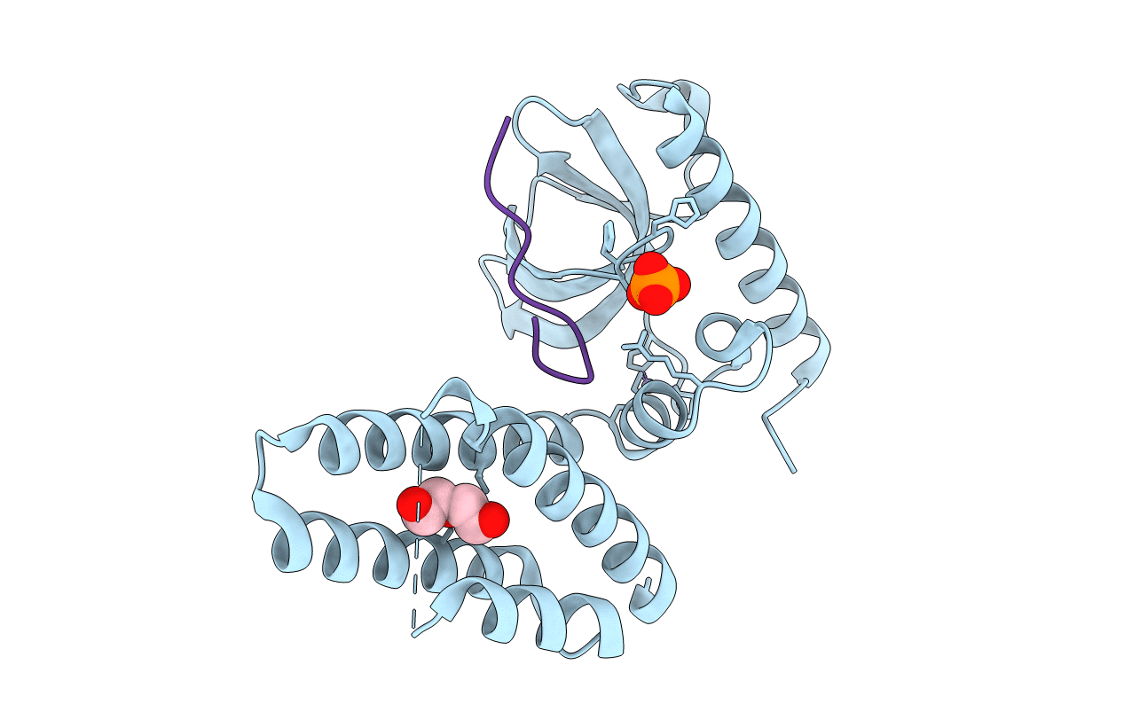 4N4I image