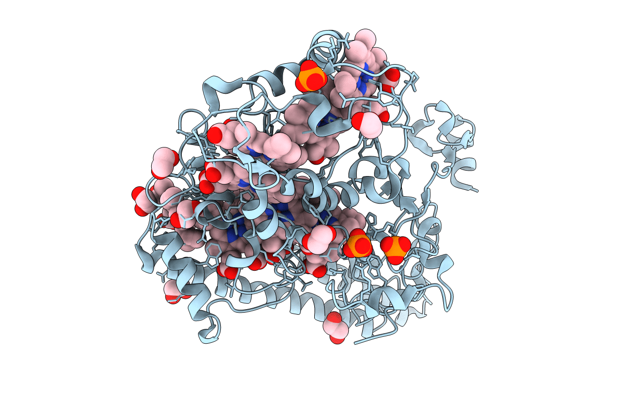 4N4M image