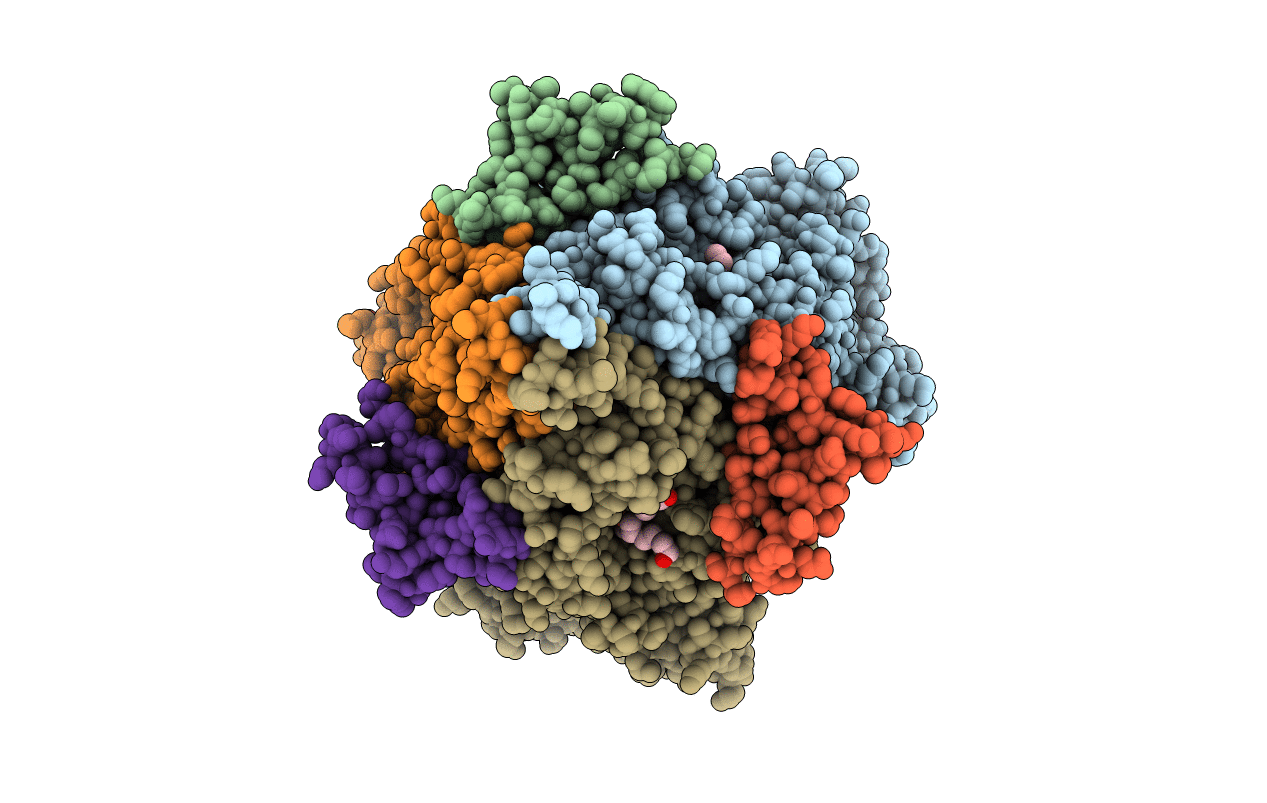 4N4O image