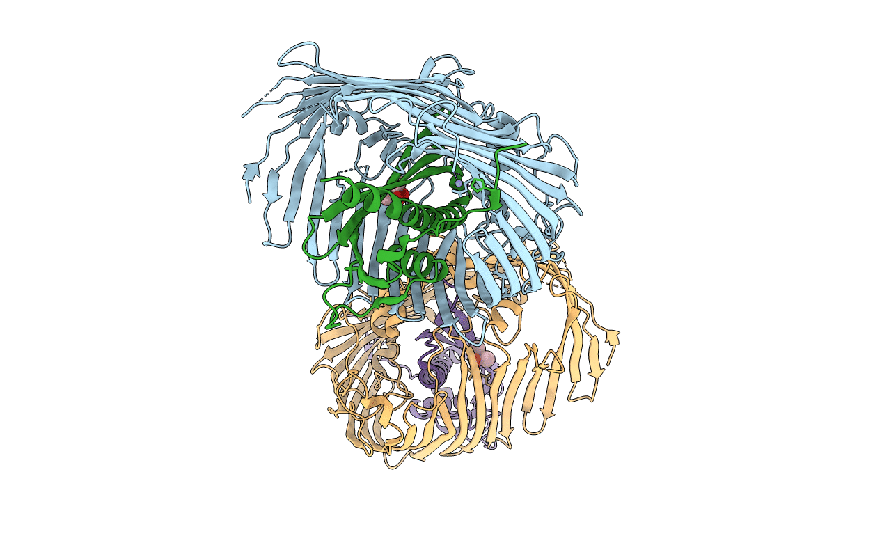 4N4R image