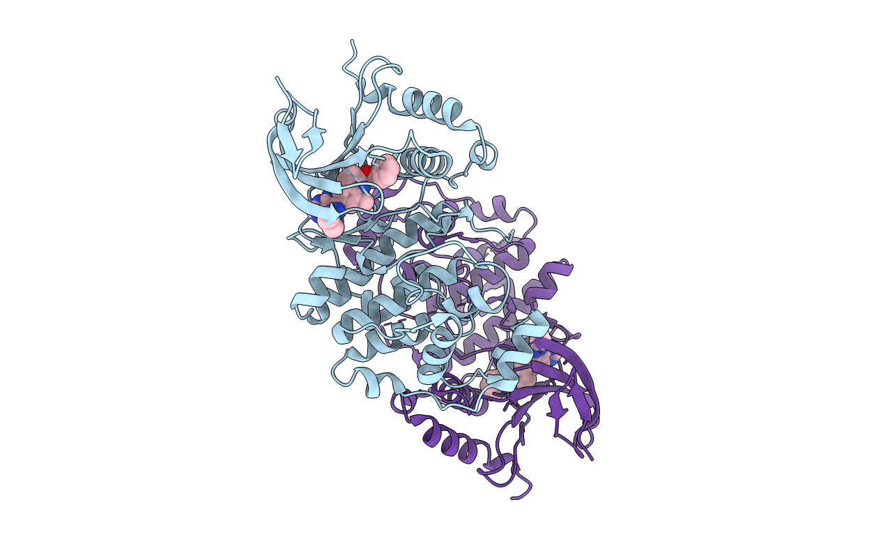4N4S image