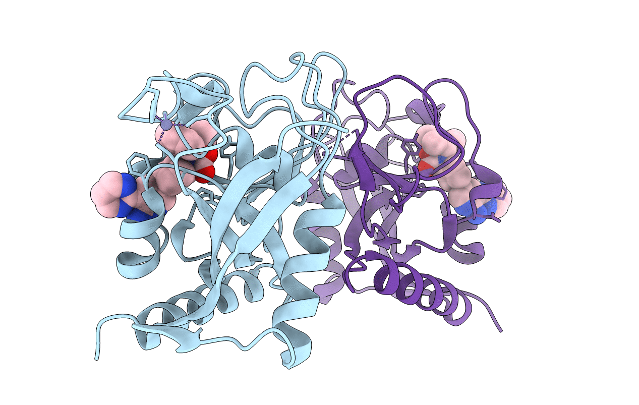 4N4V image