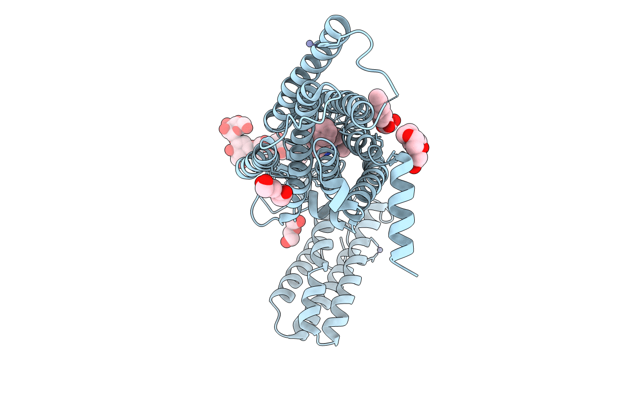 4N4W image