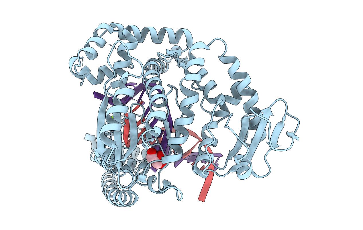 4N56 image