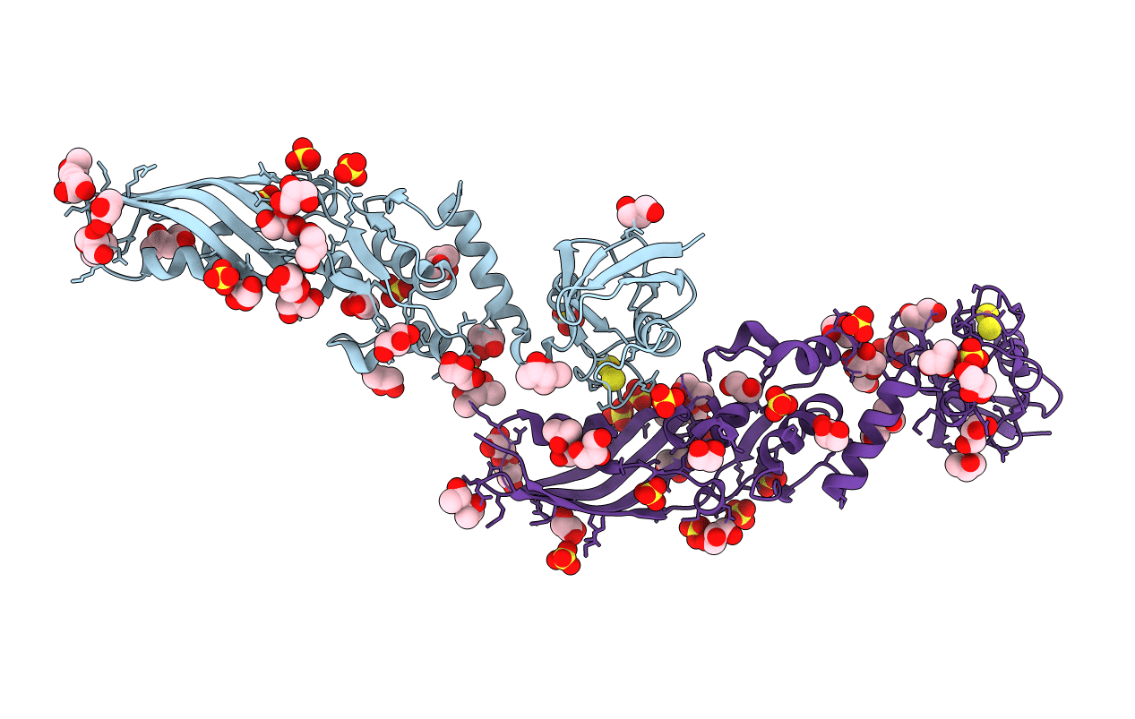 4N58 image