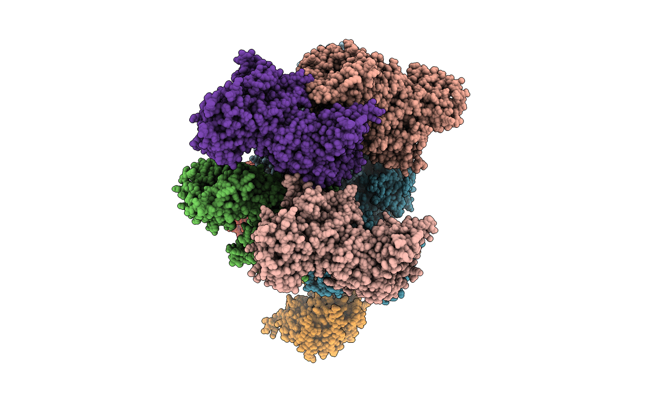 4N5C image