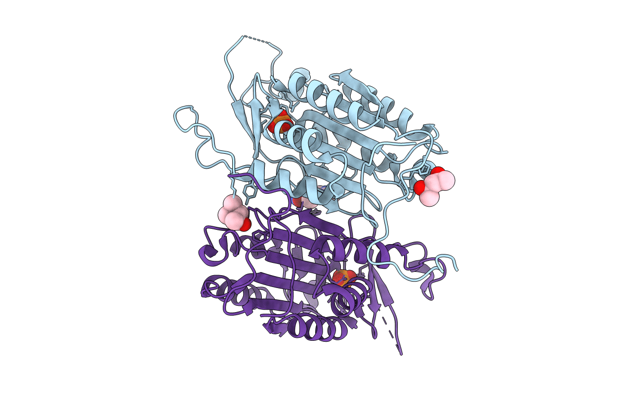 4N5D image
