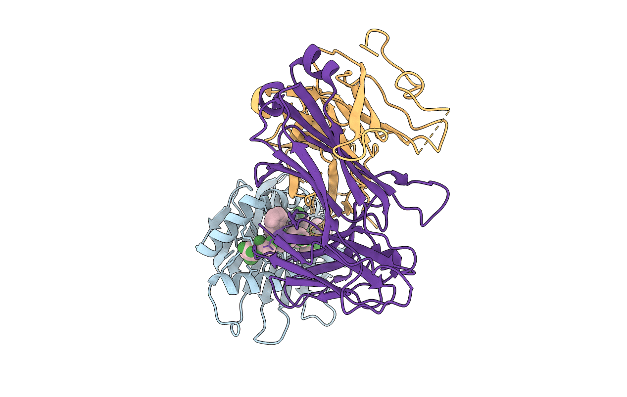 4N5E image